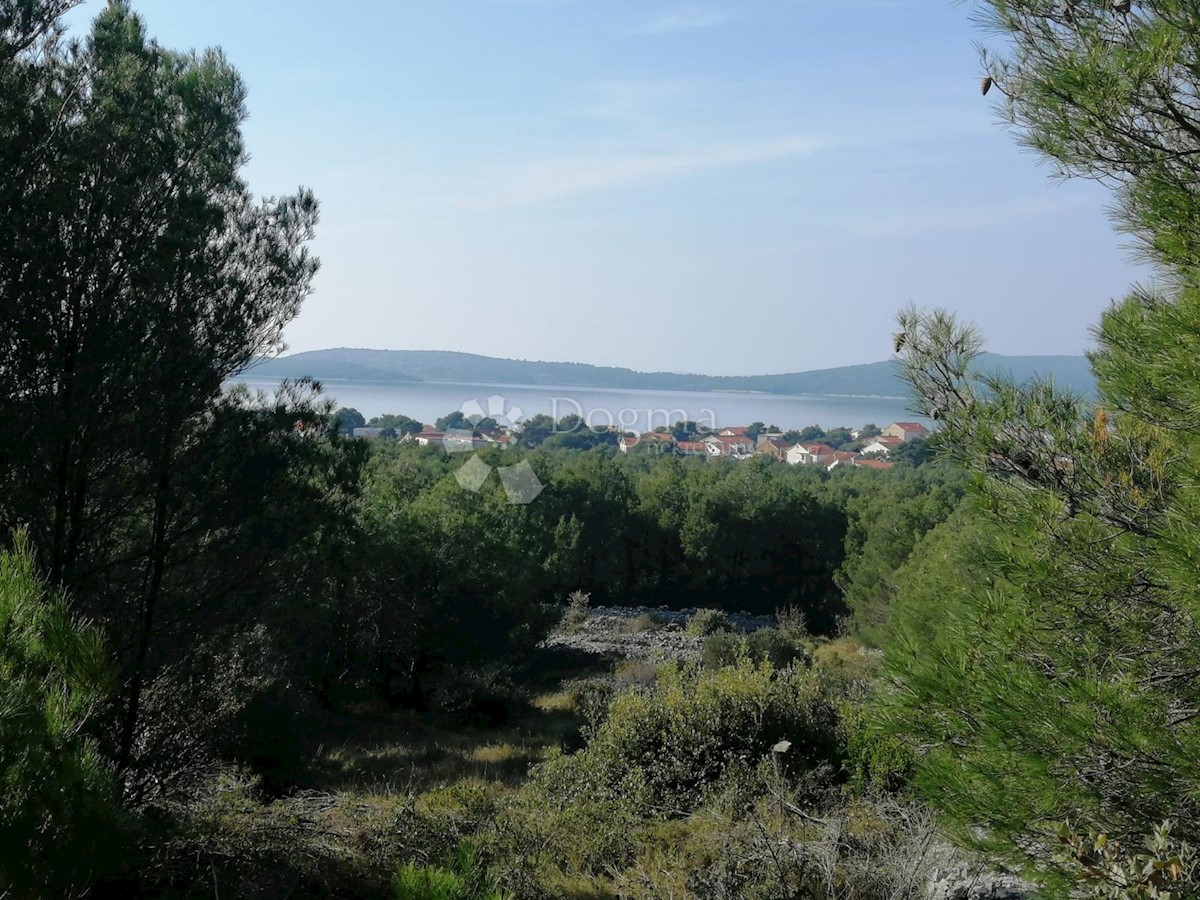 BRODARICA