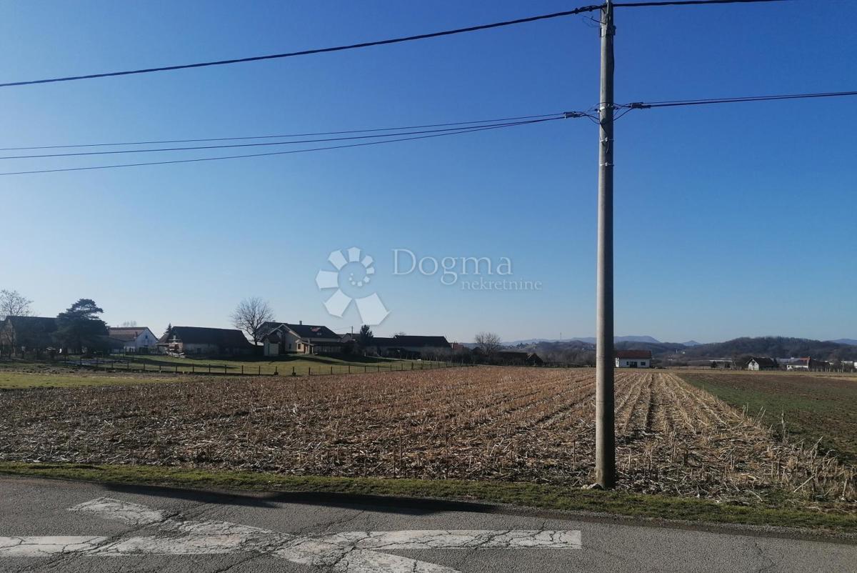 ŠĆITARJEVO