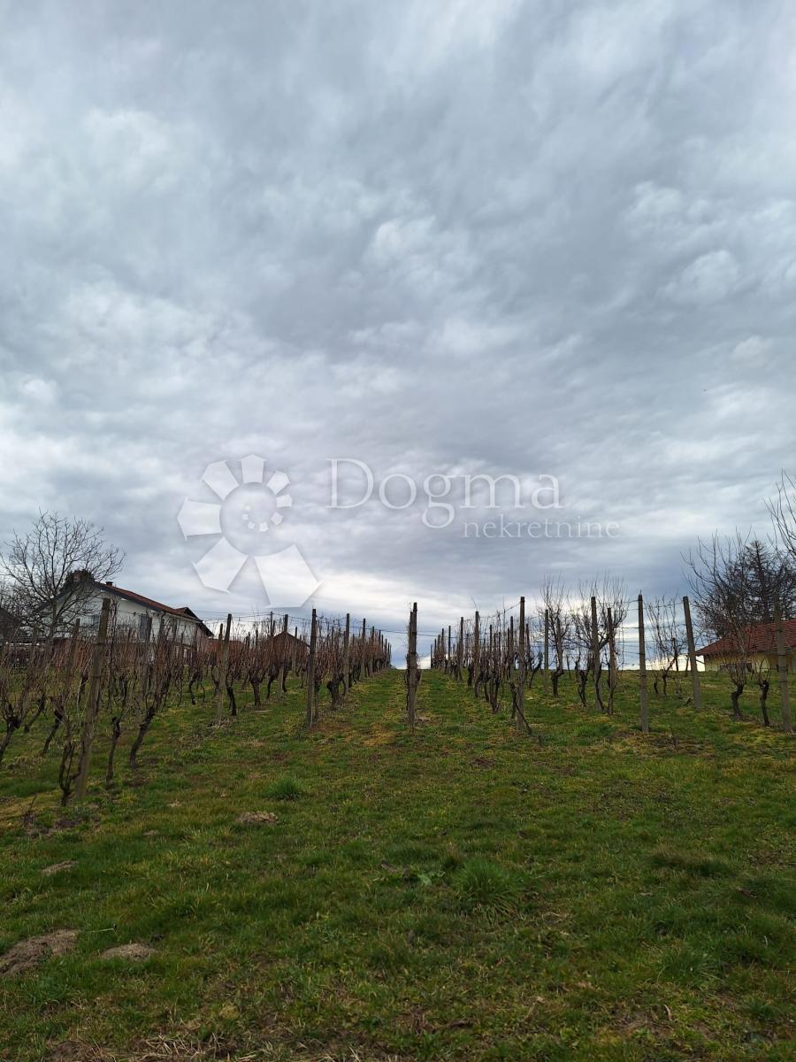VUKANOVEC