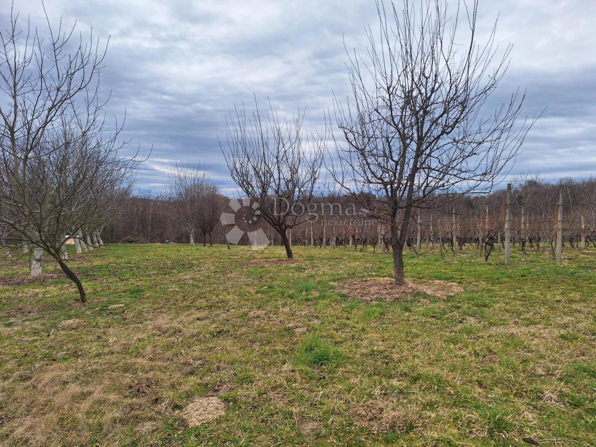 VUKANOVEC