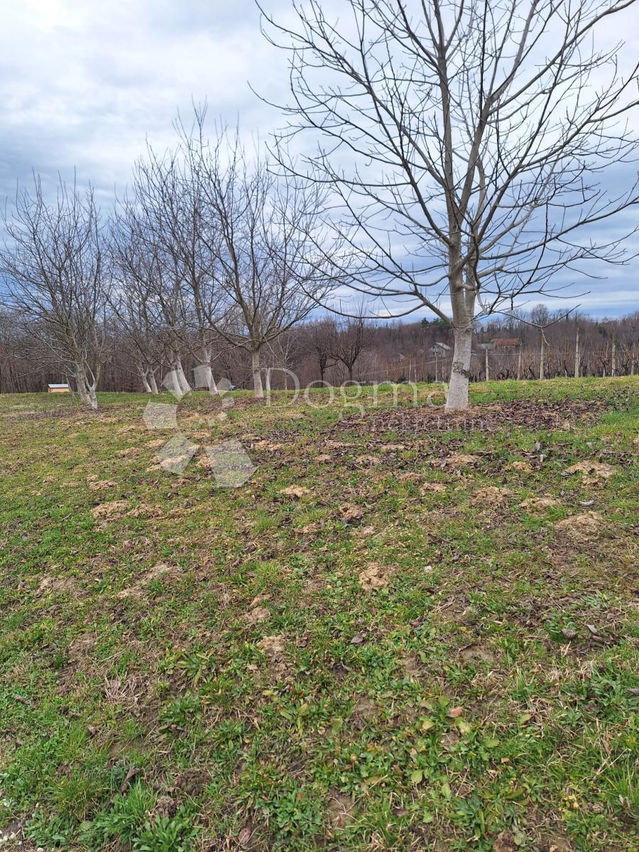 VUKANOVEC