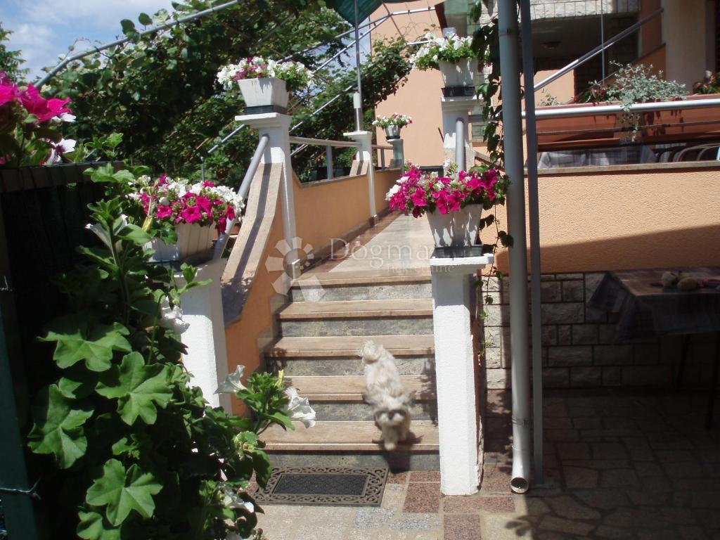FAŽANA
