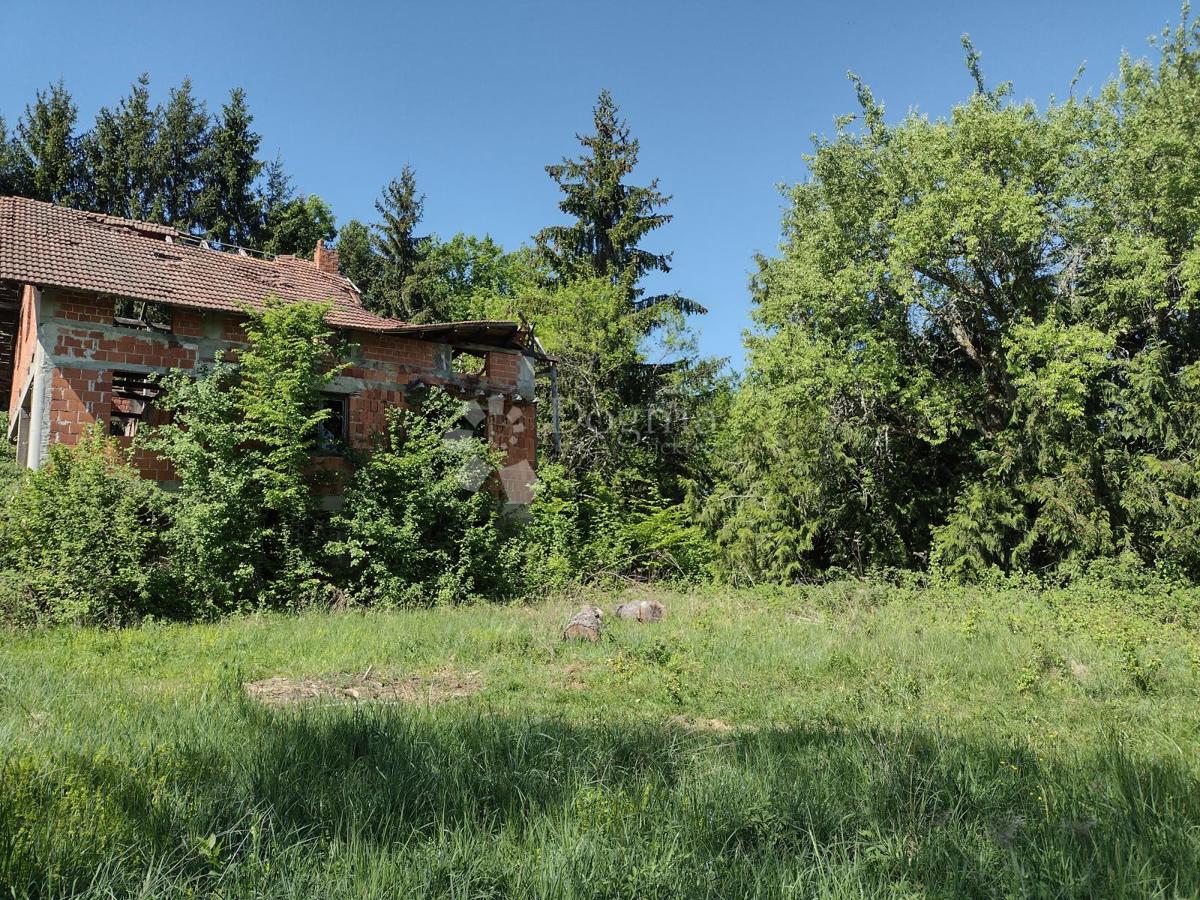 GVOZD