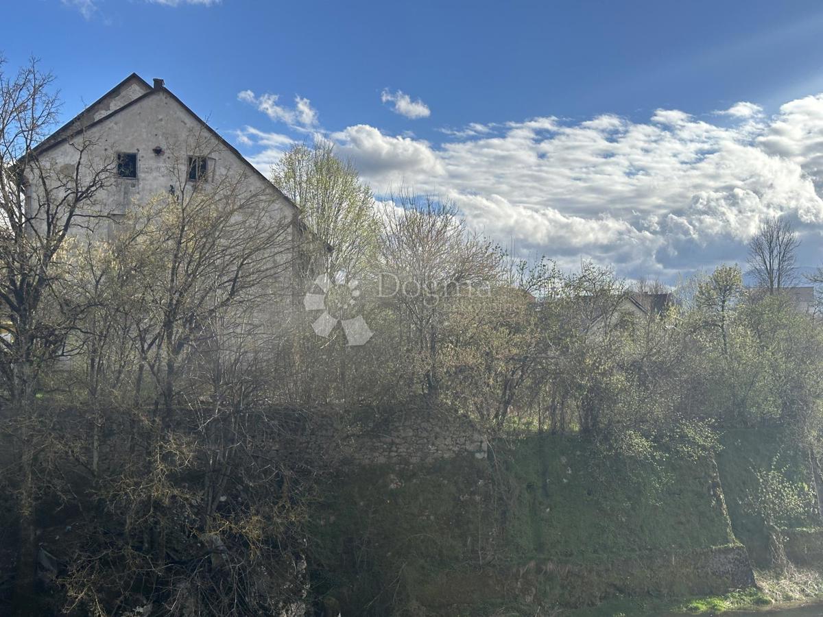 GOSPIĆ