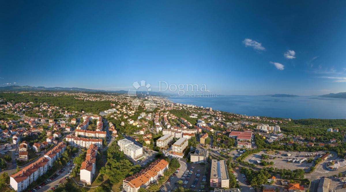 SRDOČI