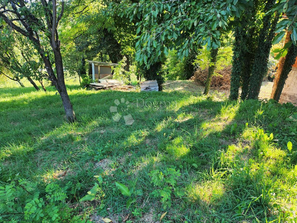 GORNJA PUŠĆA