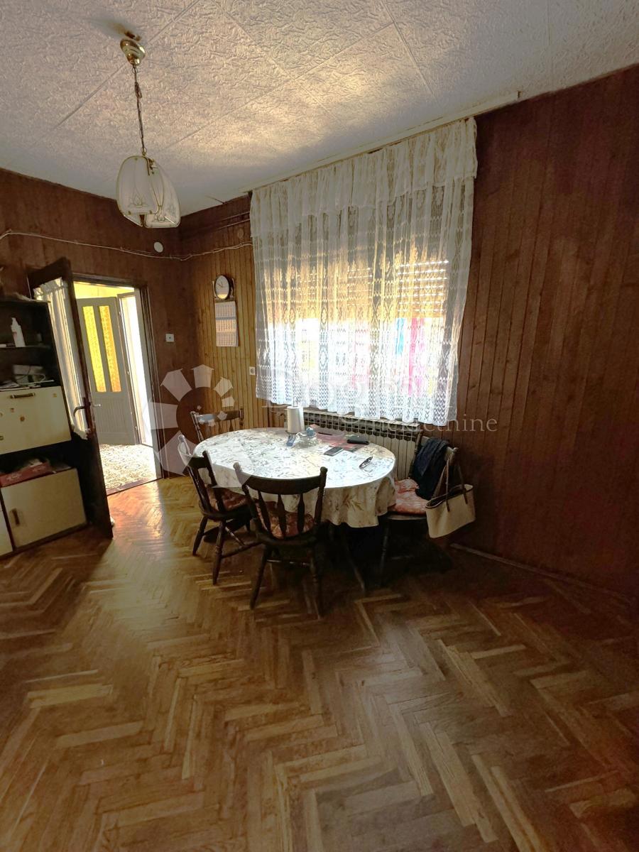 PUPELICA