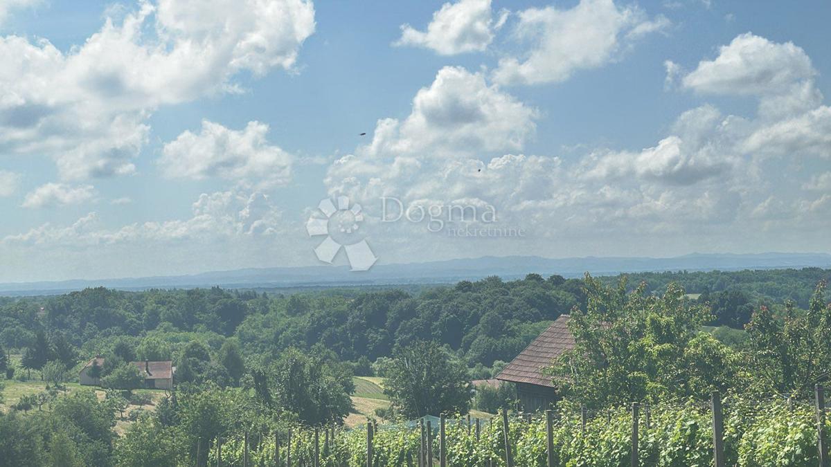 VUKANOVEC
