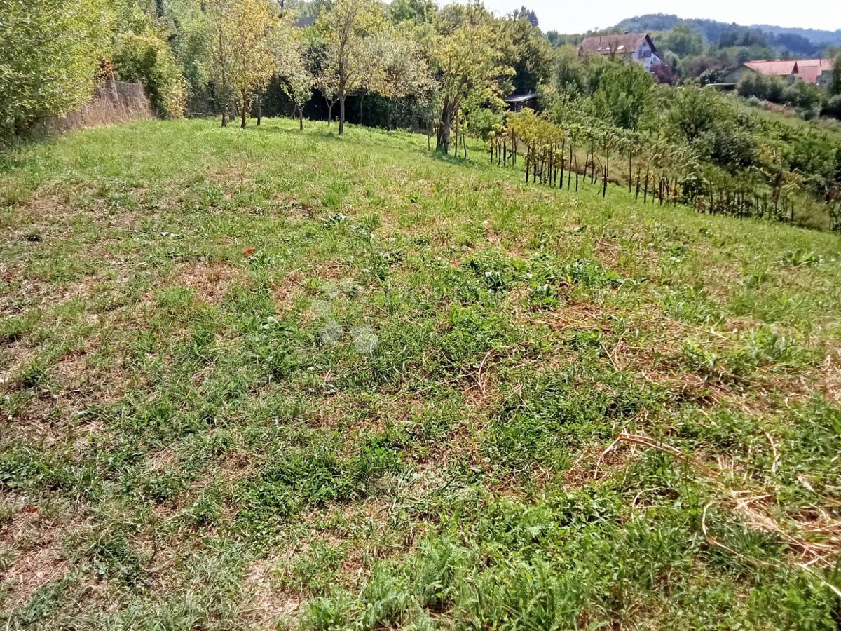 GORNJE VRAPČE
