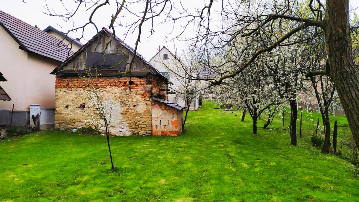LJUBEŠĆICA