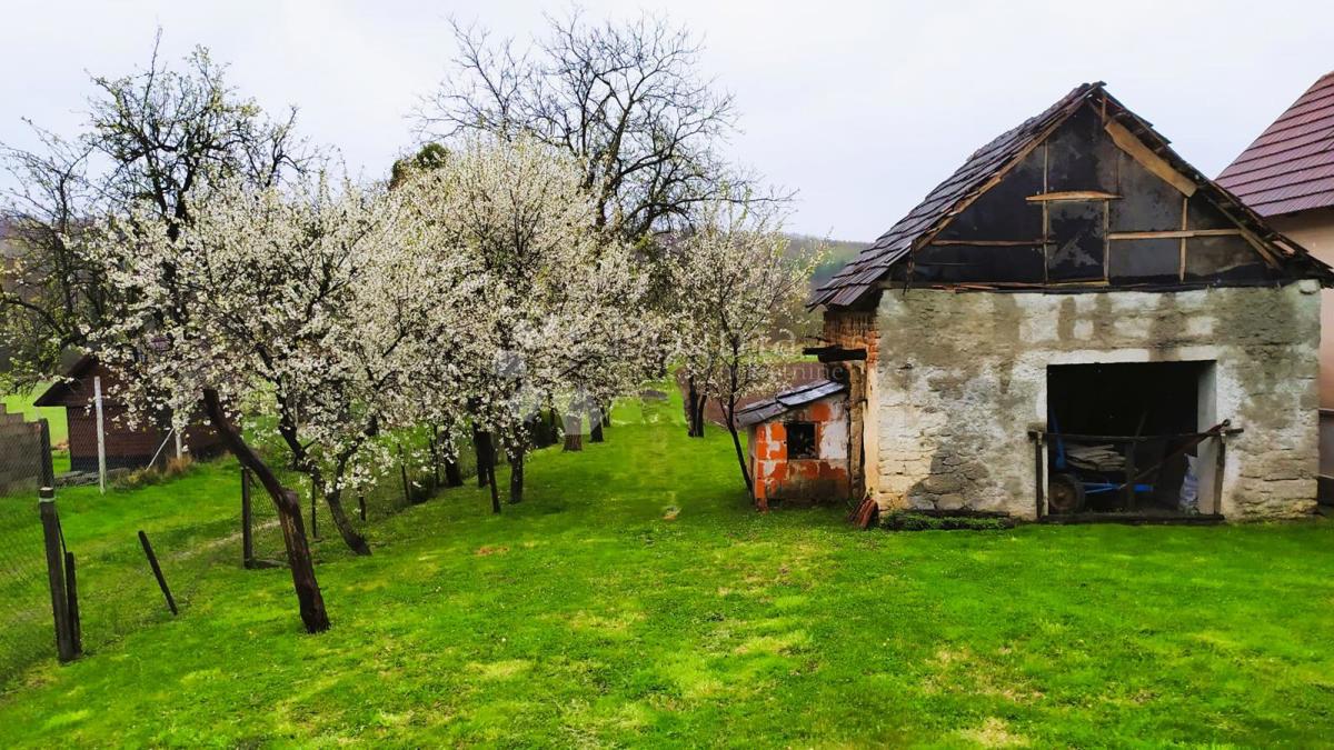LJUBEŠĆICA