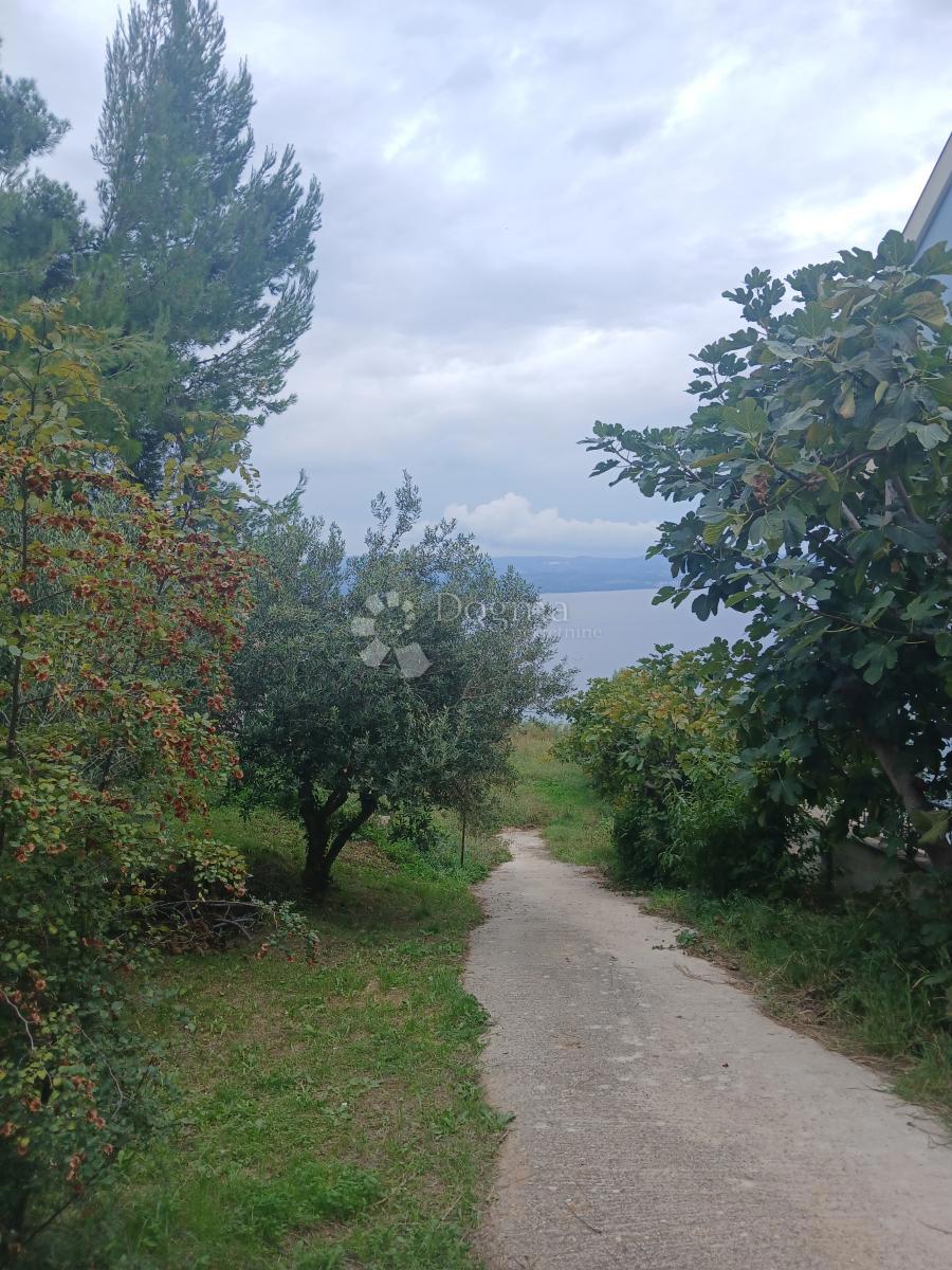 OMIŠ