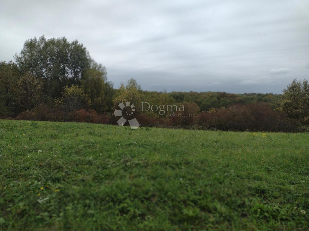 GVOZD