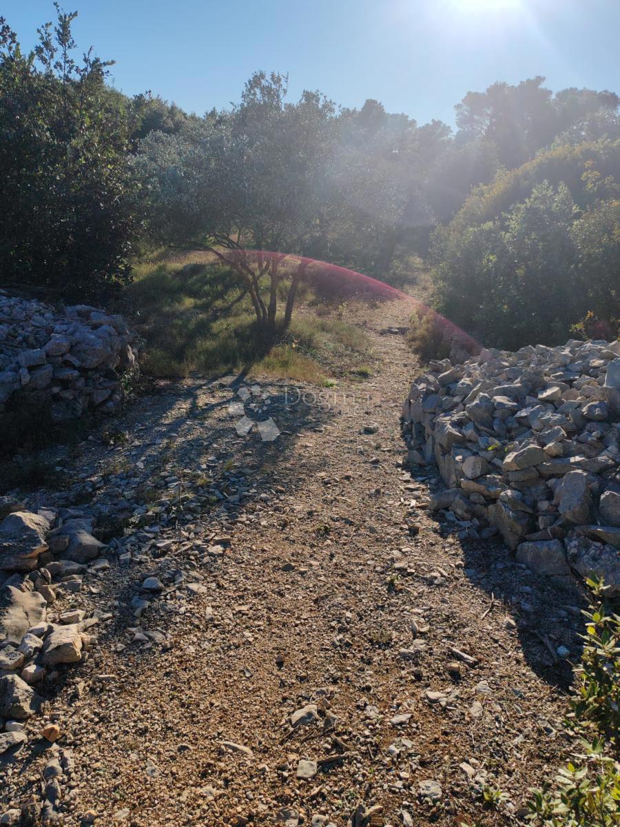 ZABLAĆE