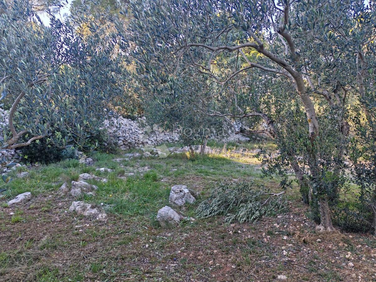 ZABLAĆE