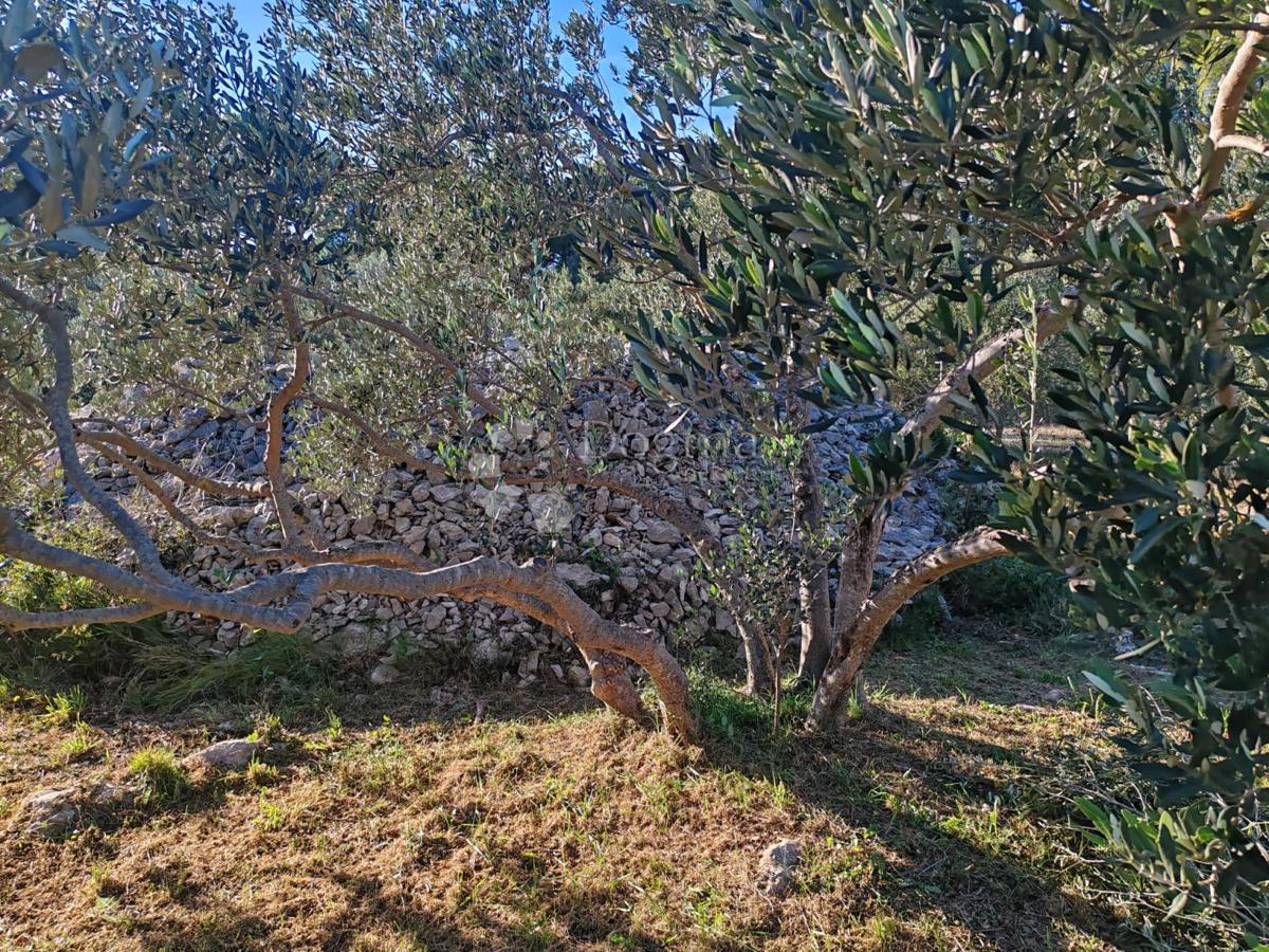 ZABLAĆE