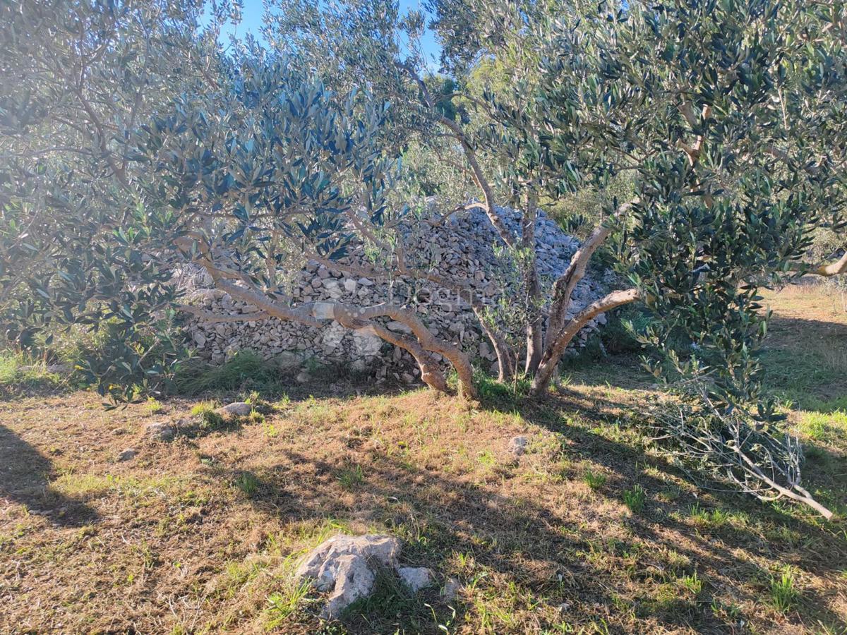 ZABLAĆE