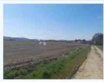 SVETI MARTIN NA MURI