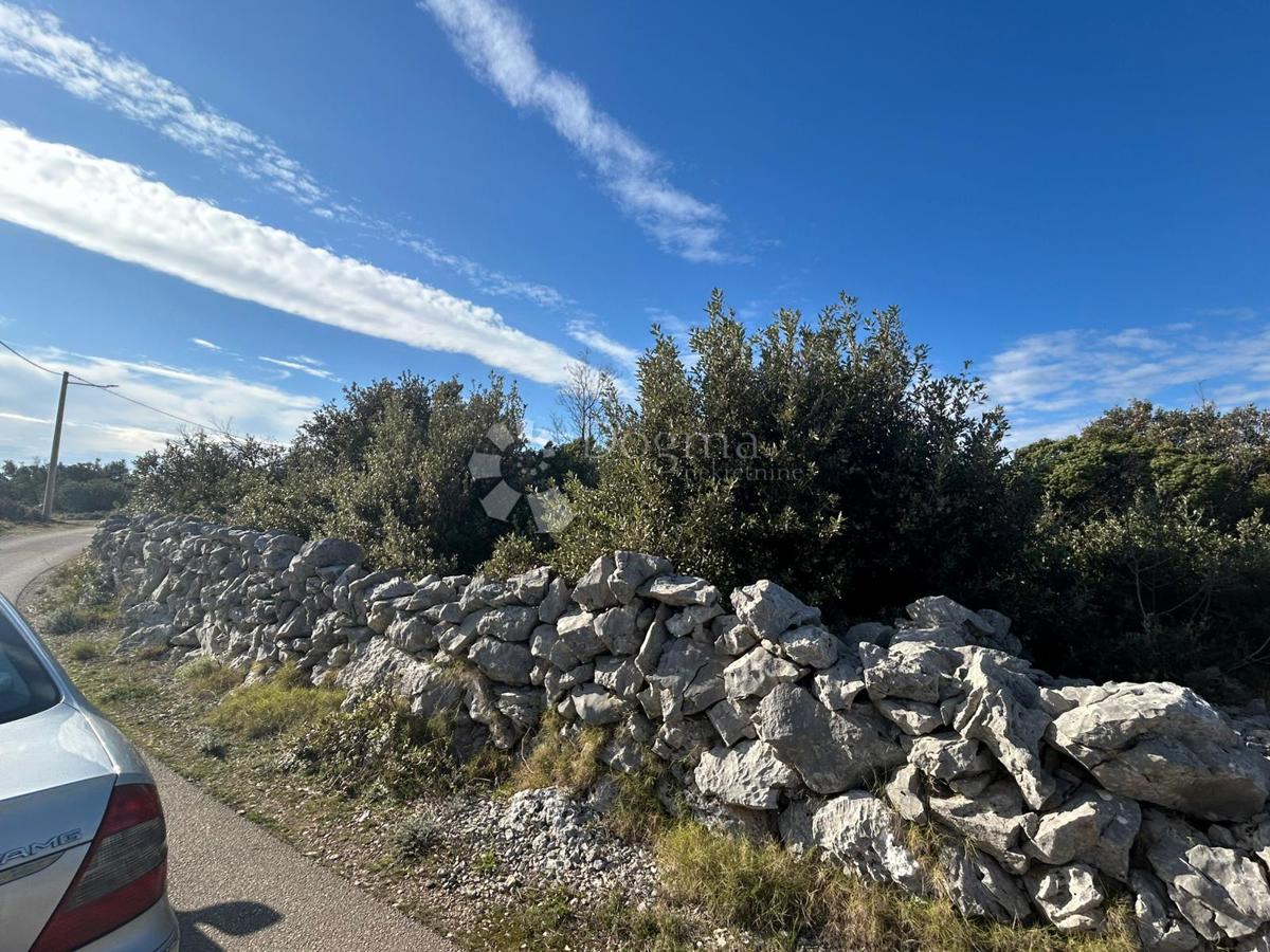 VINIŠĆE