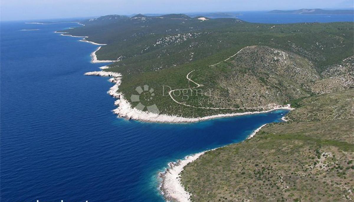 ŽMAN