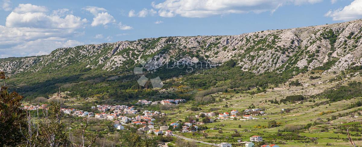 DRAGA BAŠĆANSKA
