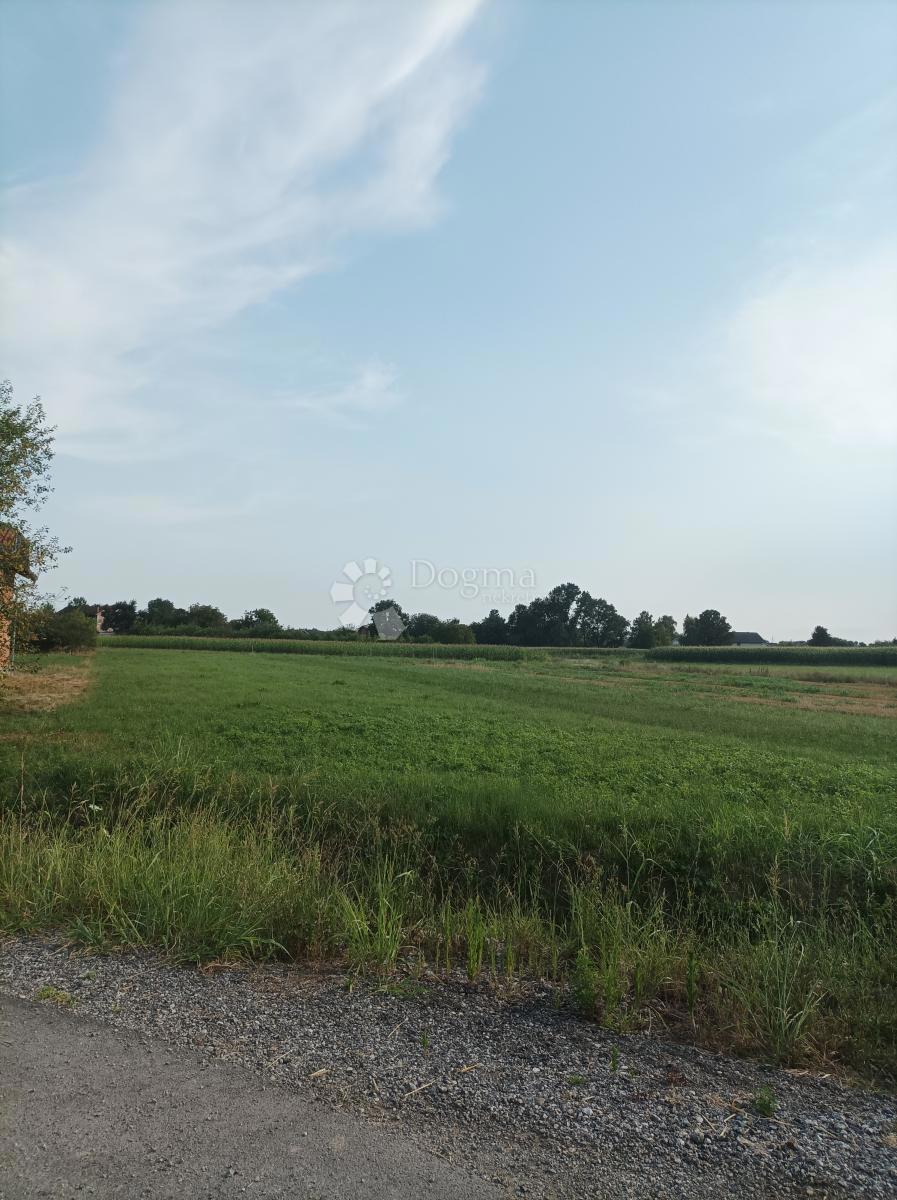 ODRANSKI OBREŽ