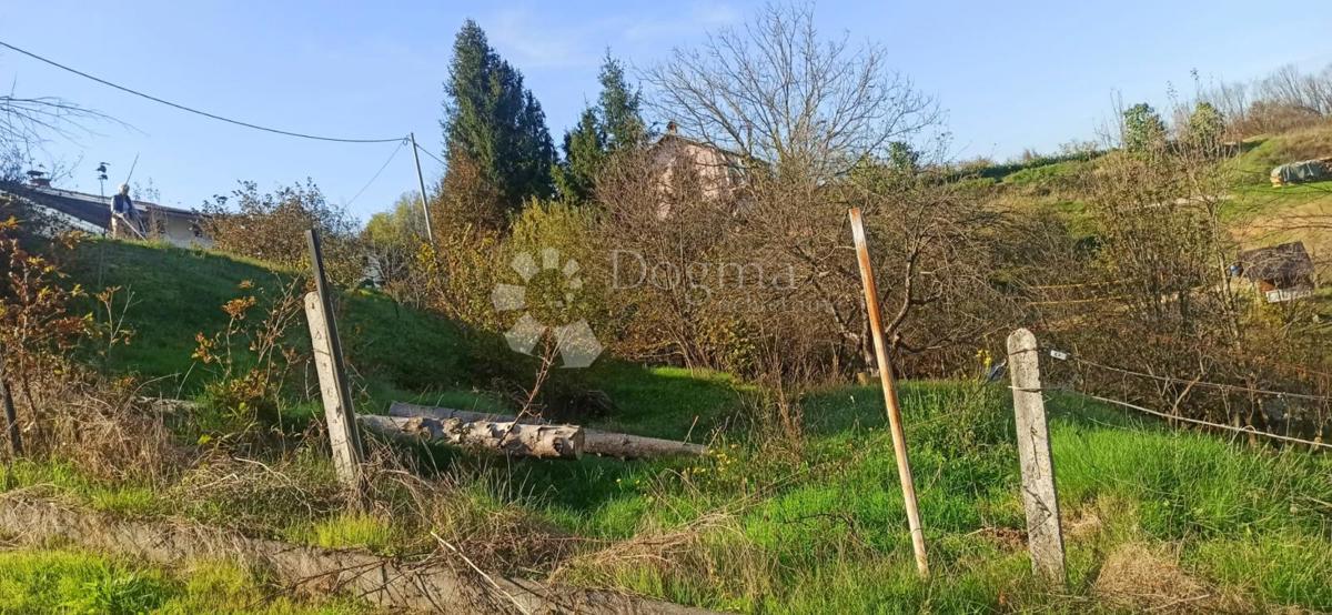 CEROVAC VUKMANIĆKI