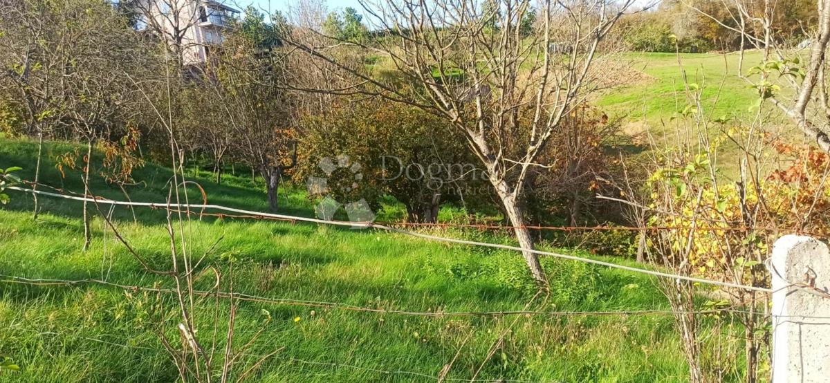 CEROVAC VUKMANIĆKI
