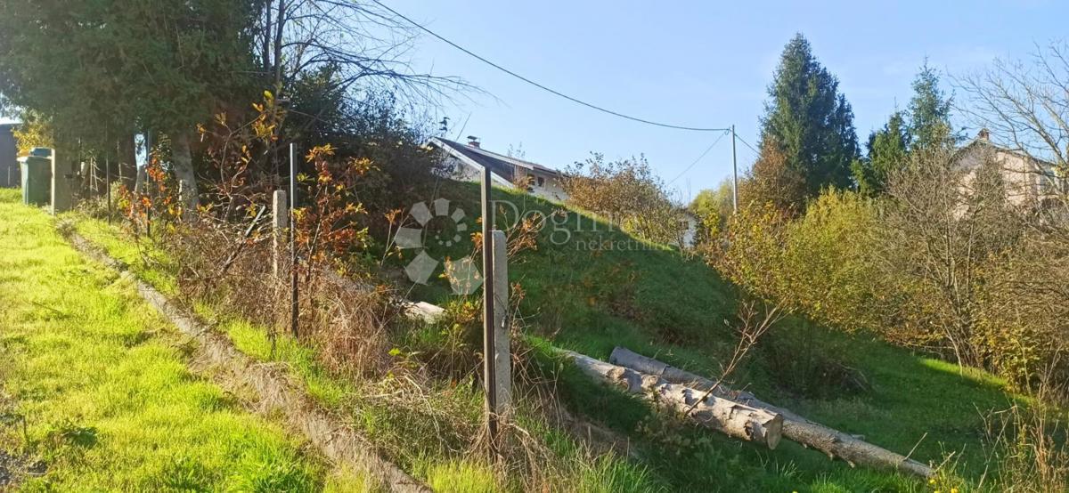 CEROVAC VUKMANIĆKI