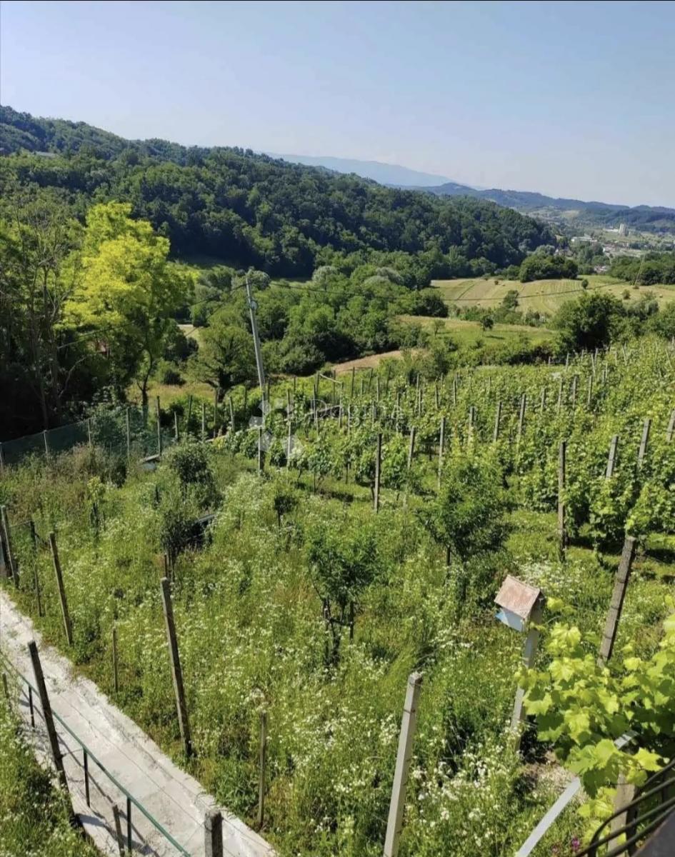 TRŠKI VRH