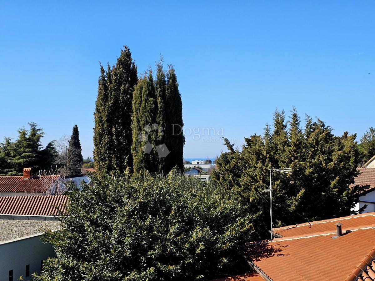 SAVUDRIJA