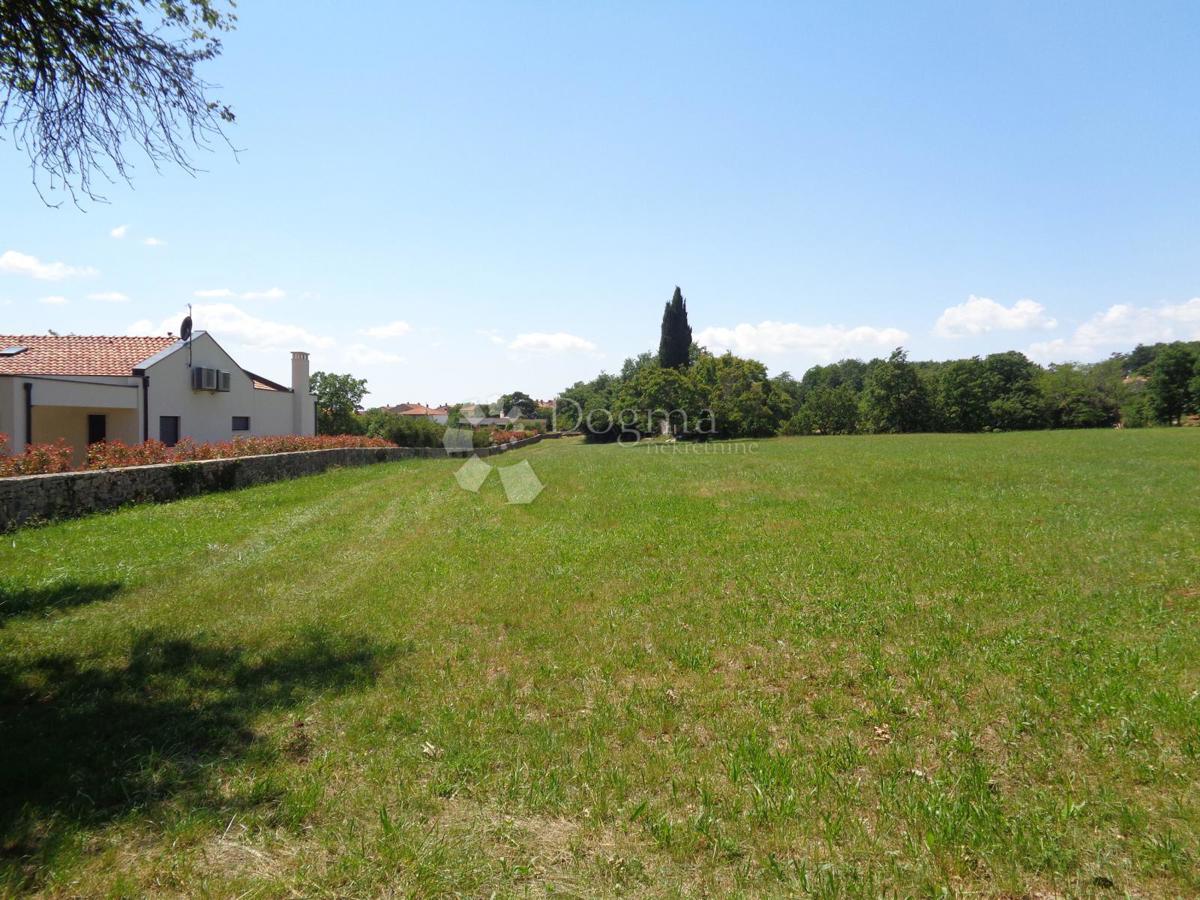 ŽMINJ