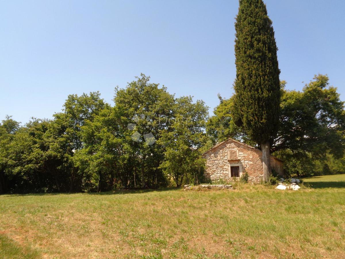 ŽMINJ