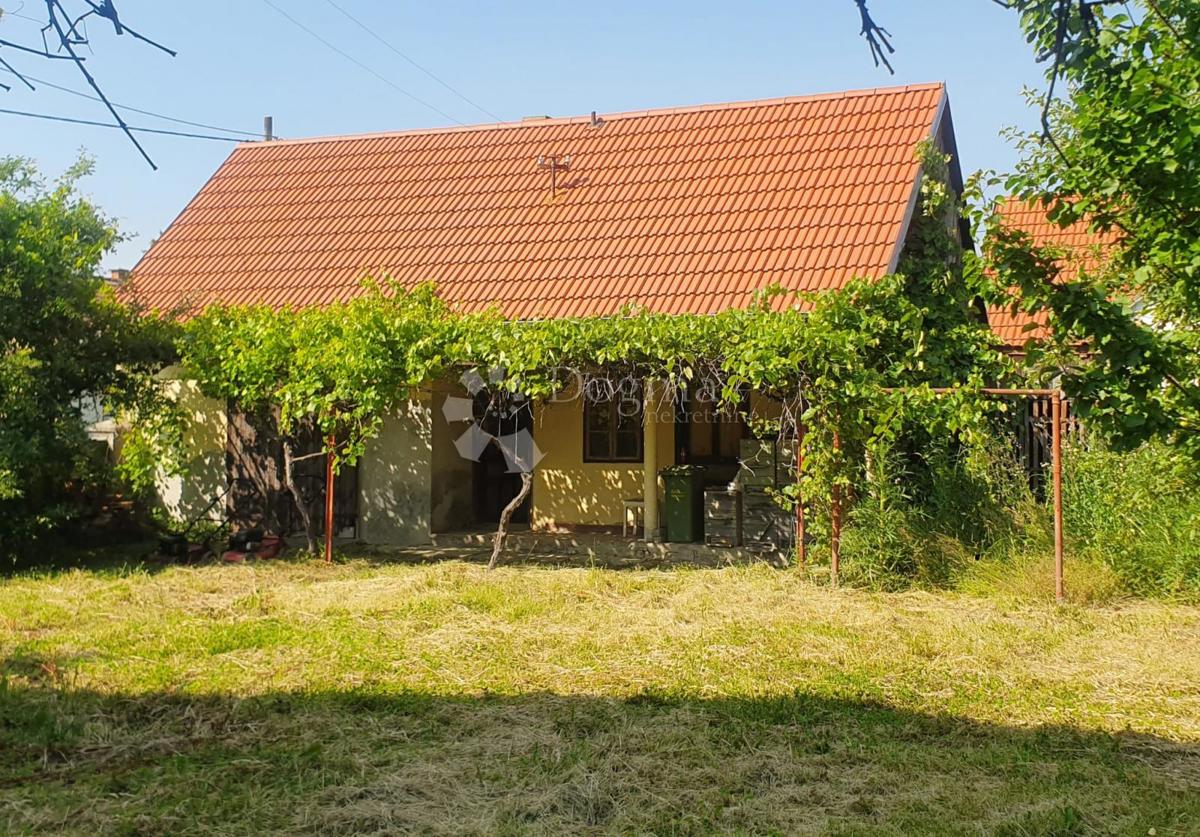 KLOKOČEVCI