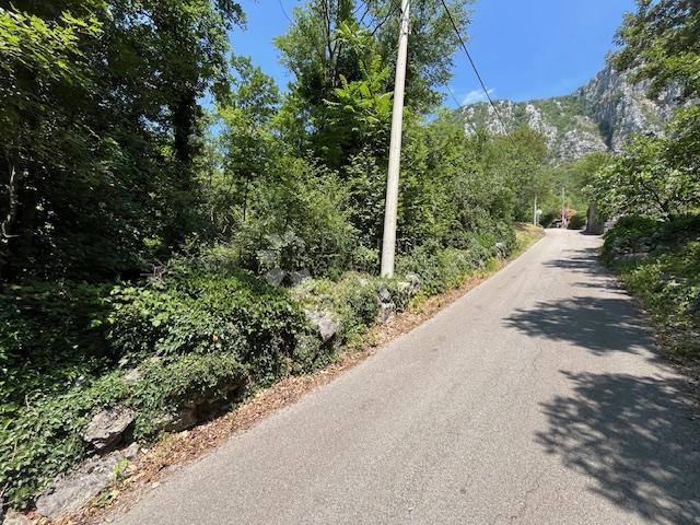 GRIŽANE