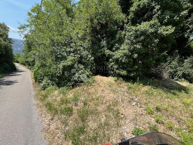 GRIŽANE