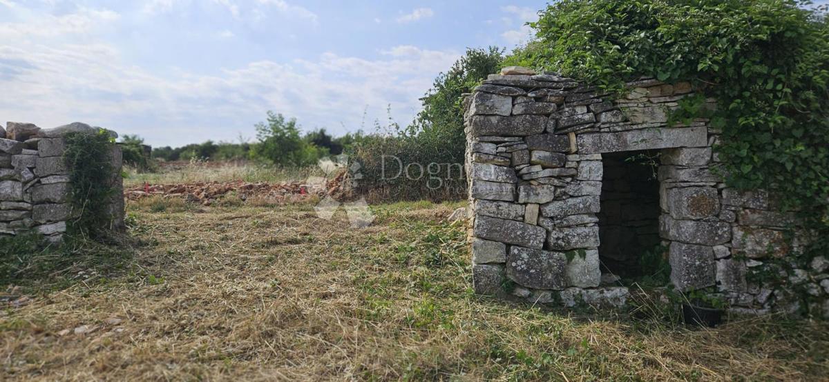 VODNJAN