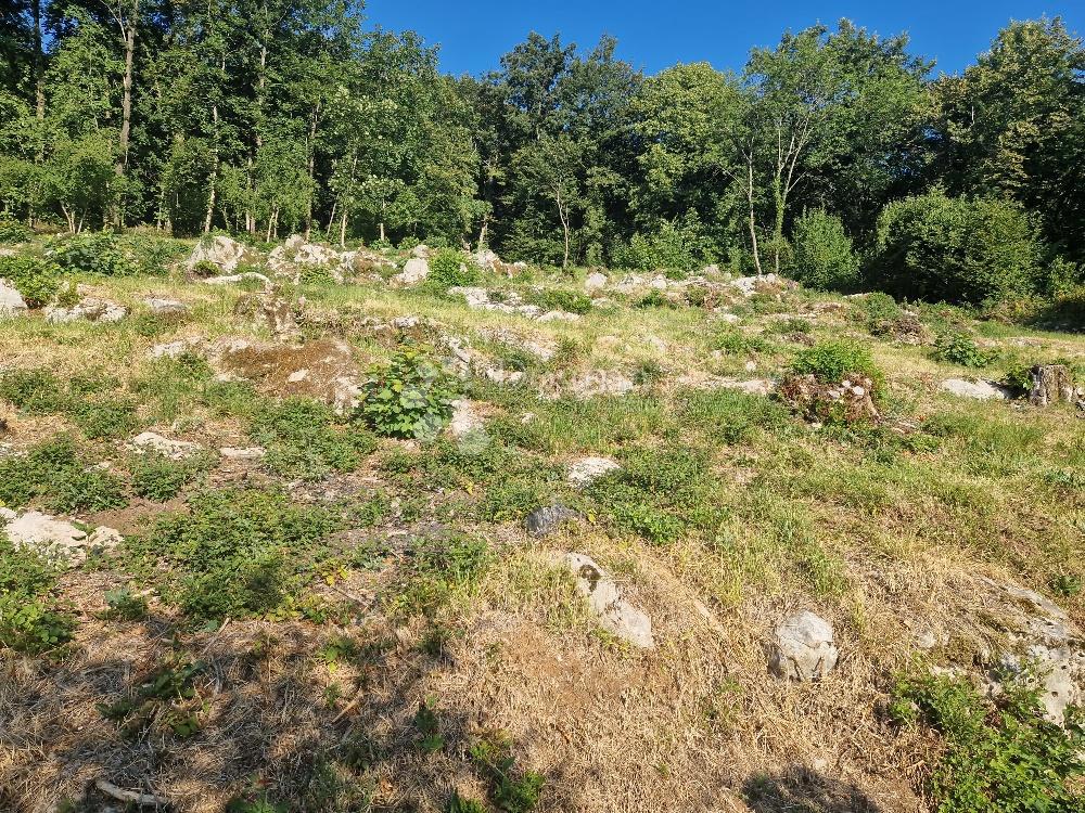 RUKAVAC
