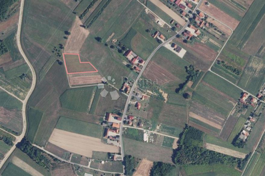 ODRANSKI OBREŽ