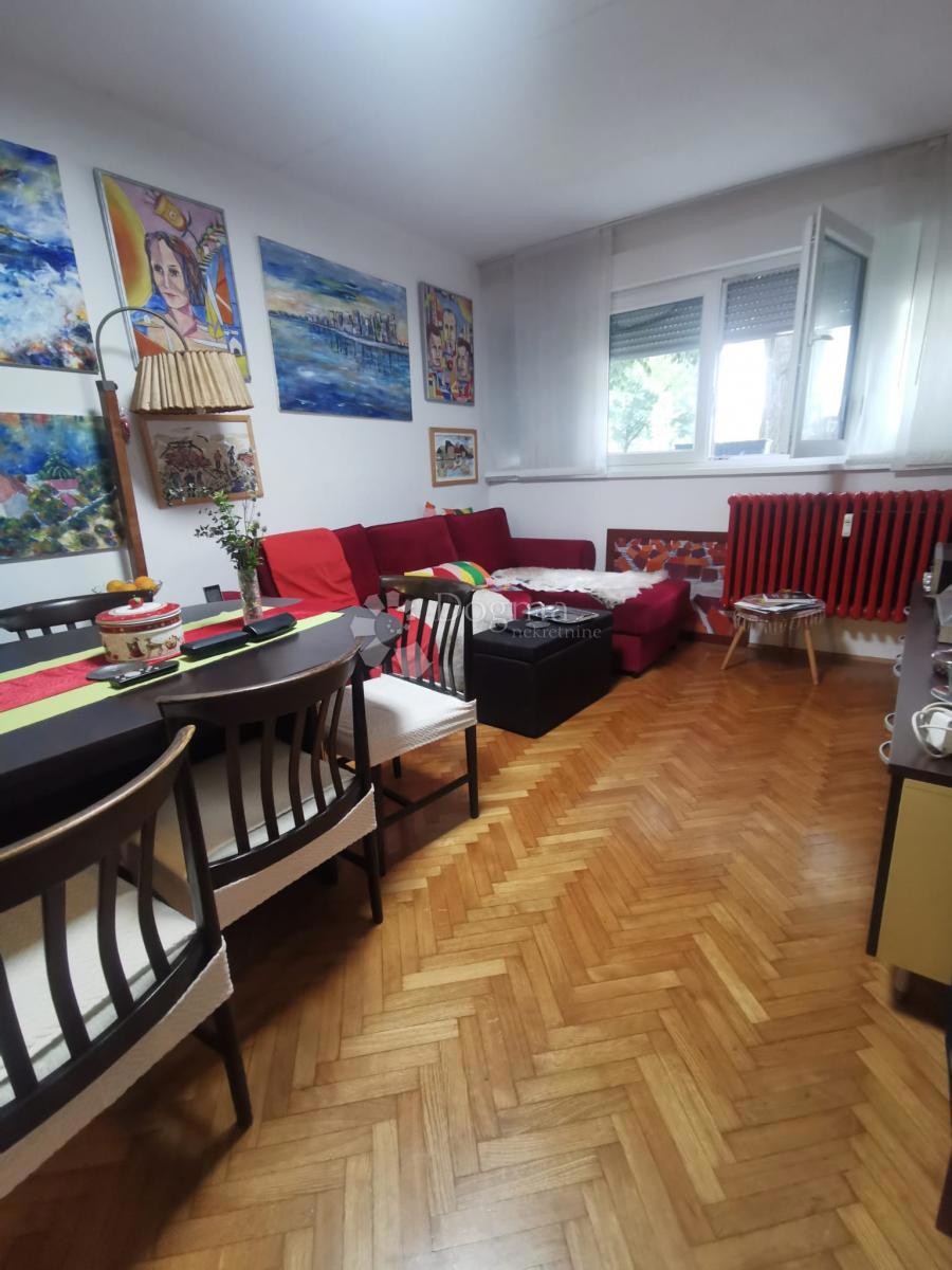 KNEŽIJA