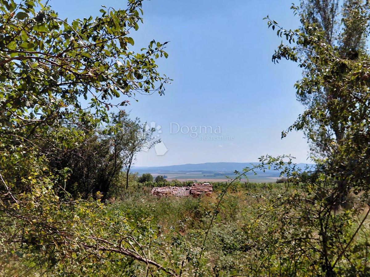 VETOVO