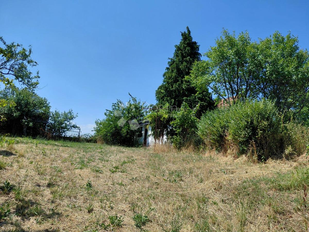 VETOVO