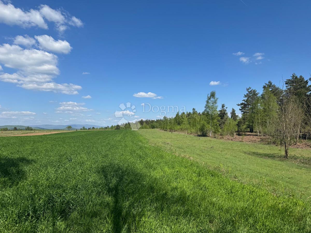 SMILJANSKO POLJE