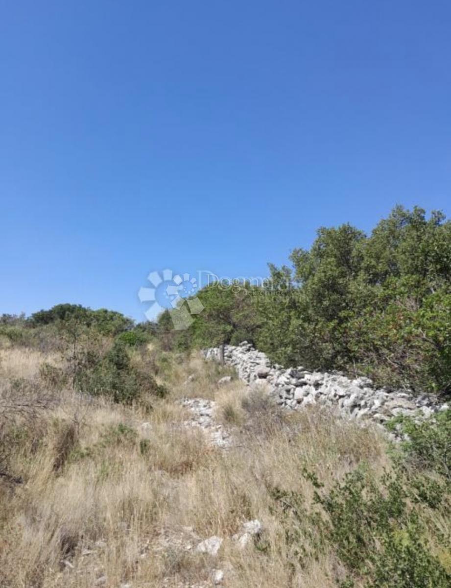 MOČIĆI