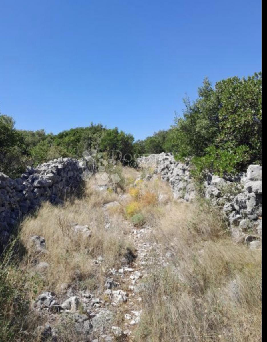 MOČIĆI