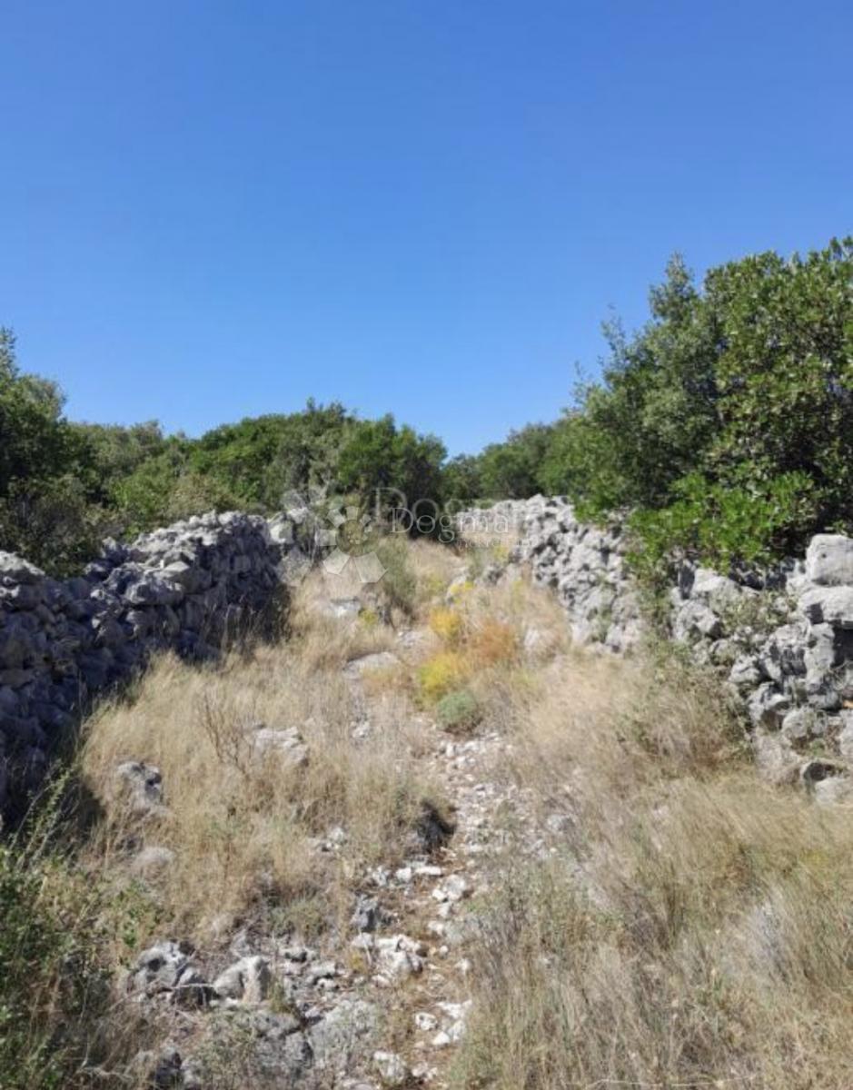 MOČIĆI