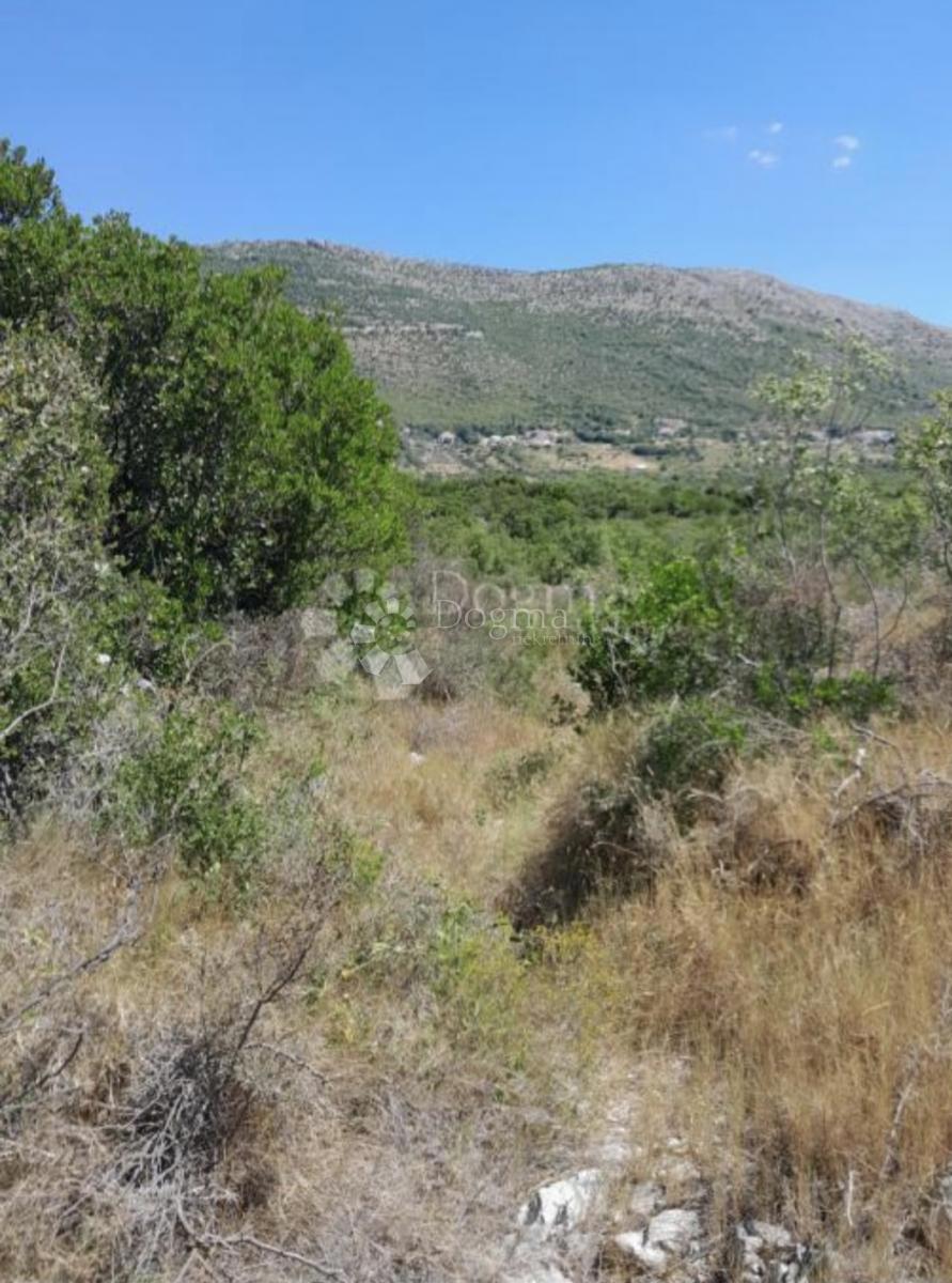 MOČIĆI