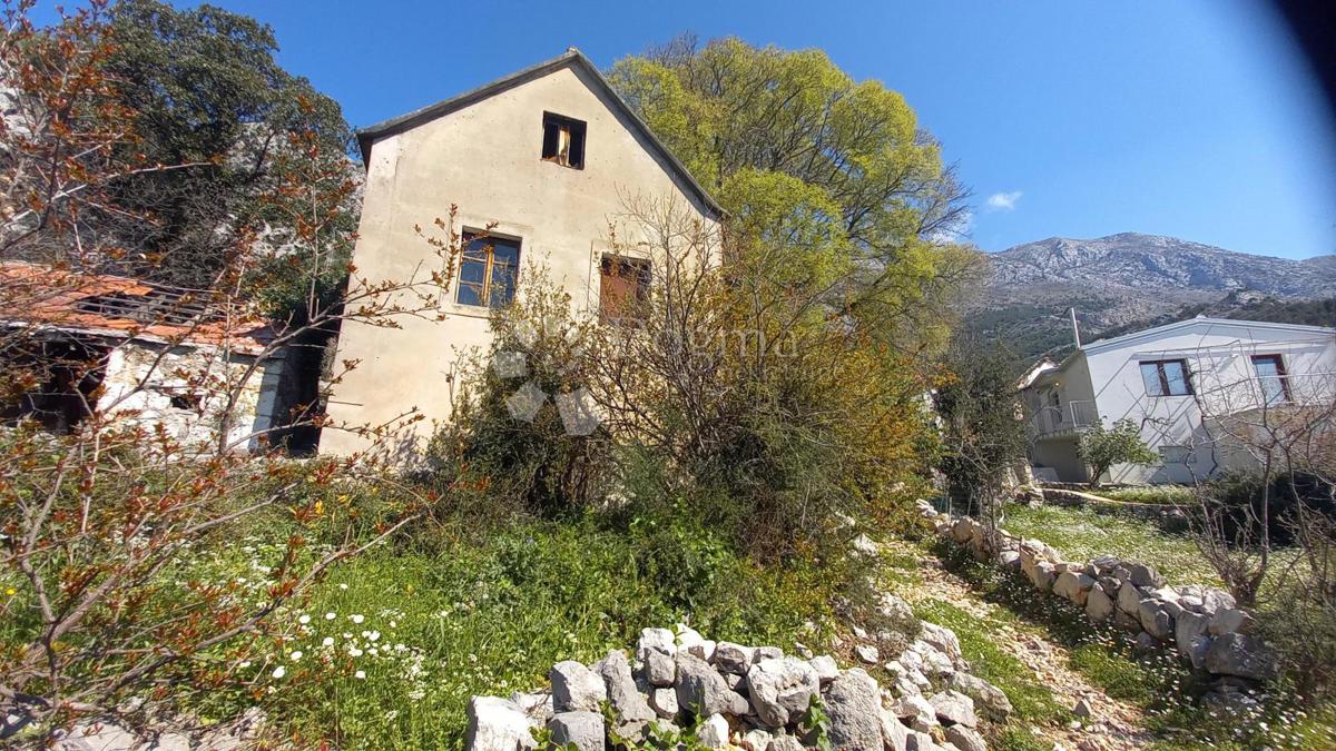 ŽIVOGOŠĆE