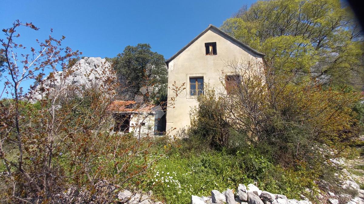 ŽIVOGOŠĆE