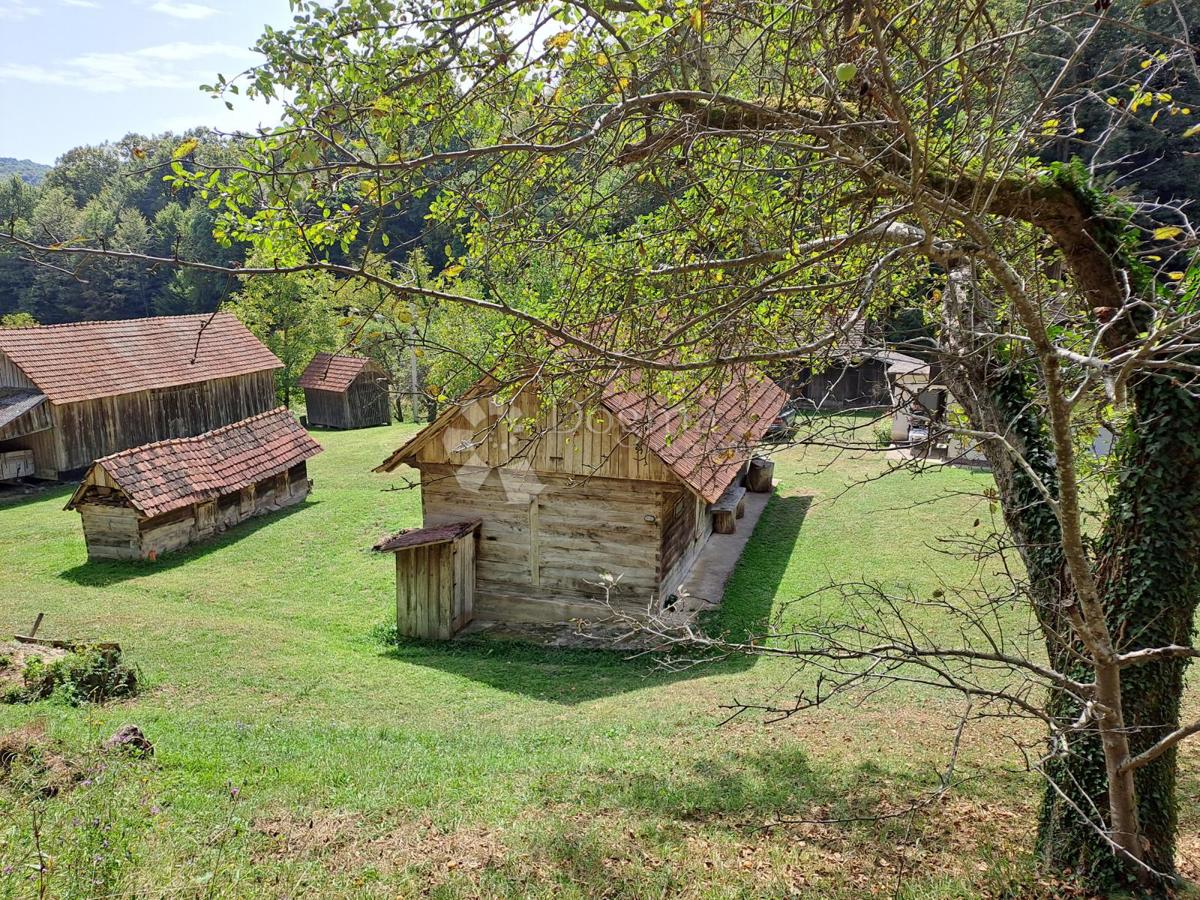 OSTROŽIN